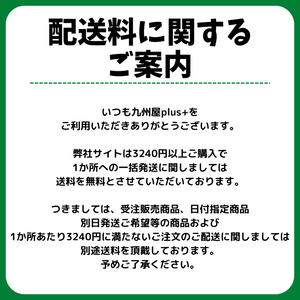 送料（北海道、沖縄、九州、その他離島以外）