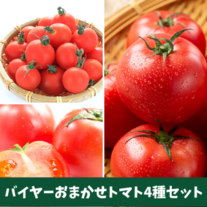 【バイヤー厳選4種のおまかせトマトセット】