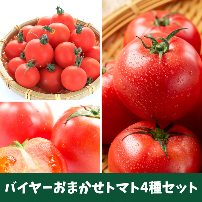 【バイヤー厳選4種のおまかせトマトセット】