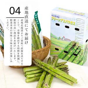 〈産地直送〉
北海道産グリーンアスパラガスギフト 
L～2Lサイズ 約1kg【予約販売】