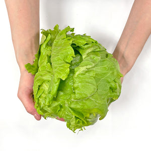 《有機野菜》
茨城県産他
レタス　1個