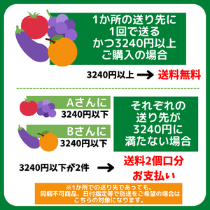 送料（北海道、沖縄、九州、その他離島以外）