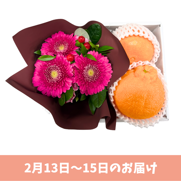 〈ギフト〉【プロキオン】国産柑橘2種のギフト【予約販売】