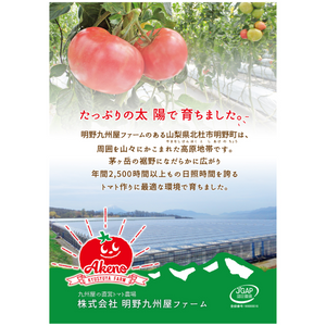 〈産地直送〉
セットB「明野トマト」と「やまそだち」有機野菜のコラボ
明野トマト、トマトジュース、ケチャップとやまそだち有機野菜6種