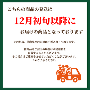〈お歳暮〉富山県産 富山干柿 化粧箱（3L～4Lサイズ、箱込み約400g）
