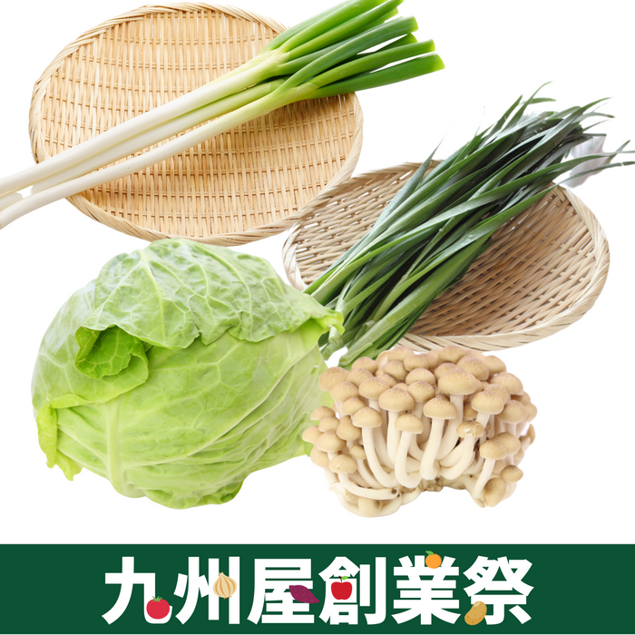 ＜九州屋創業祭＞【ことことお鍋セット】