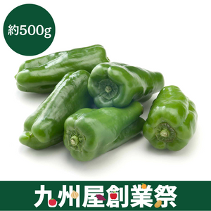 ＜九州屋創業祭＞宮崎県産他　ピーマン　ALサイズ　大袋1袋（約500g）