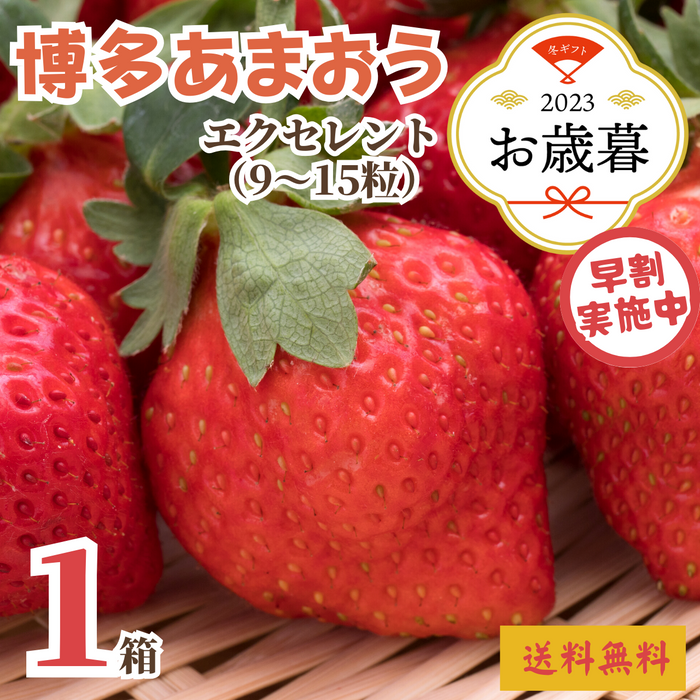 【早割】〈お歳暮〉
福岡県産 
博多あまおうEX
（9～15粒）