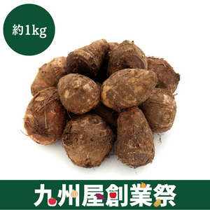 ＜九州屋創業祭＞埼玉県産　いるま野里芋　Lサイズ　約1kg