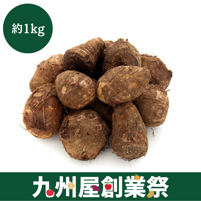 ＜九州屋創業祭＞埼玉県産　いるま野里芋　Lサイズ　約1kg
