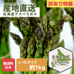 〈産地直送〉
北海道産グリーンアスパラガスギフト 
L～2Lサイズ 約1kg（訳あり）【予約販売】