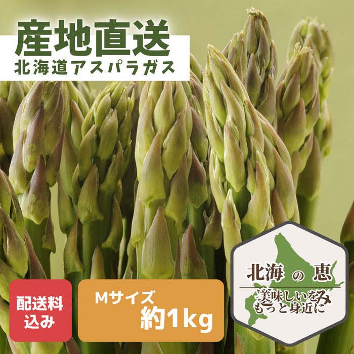 〈産地直送〉
北海道産グリーンアスパラガスギフト 
Mサイズ 約1kg【予約販売】