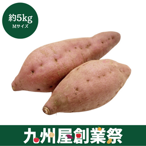 ＜九州屋創業祭＞鹿児島県産　安納芋　Mサイズ　約5kg