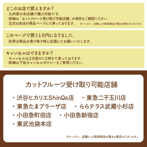 【小田急町田店】■店舗受取■フルーツおせち一段重