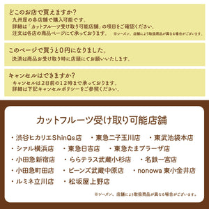 【渋谷ヒカリエShinQs店】■店舗受取■パインタワー