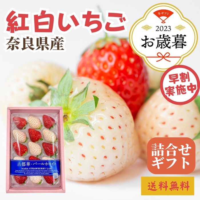 【早割】〈お歳暮〉
奈良県産 
紅白いちご詰合せ