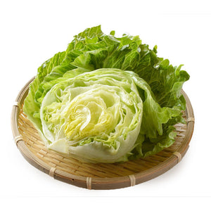 茨城県産他
レタス
2Lサイズ1玉