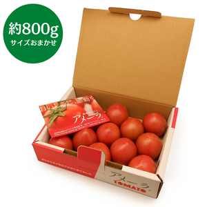 静岡県産他　アメーラトマト　サイズおまかせ　約800g