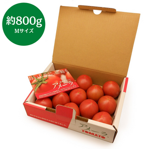 静岡長野県産
アメーラフルーツトマト
(Mサイズ)
約800g