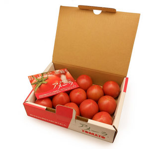 静岡県産他 
アメーラトマト サイズおまかせ 約800g